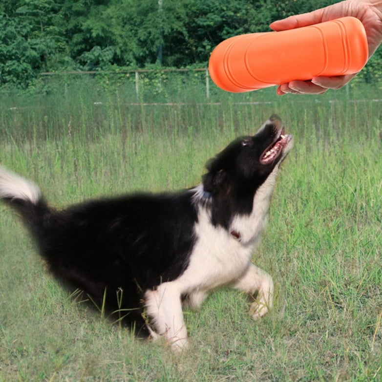 Hundefrisbee Scheibe Hundespielzeug Reise-Welt   