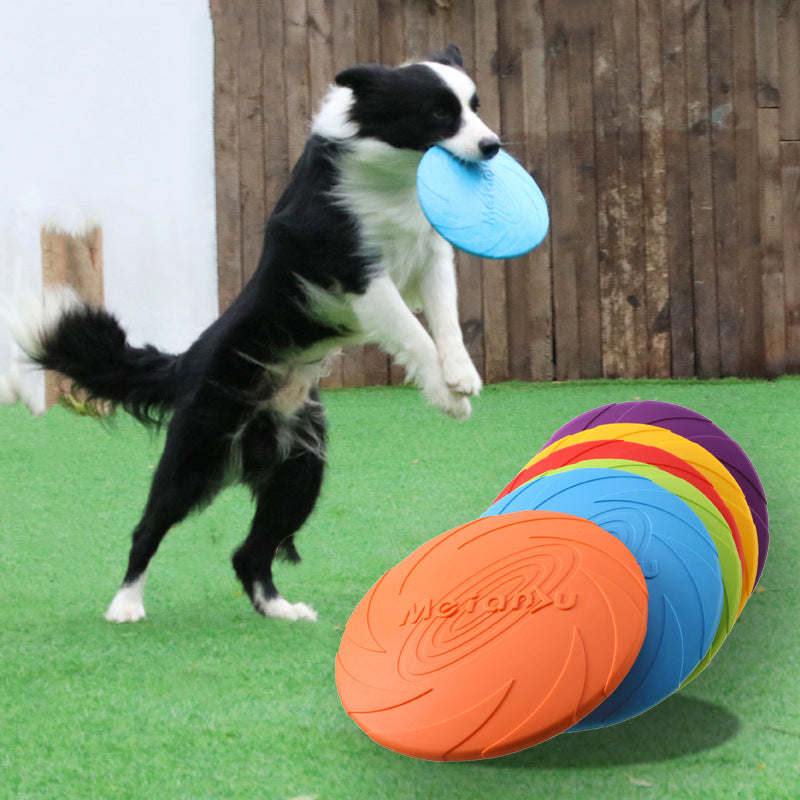 Hundefrisbee Scheibe Hundespielzeug Reise-Welt   